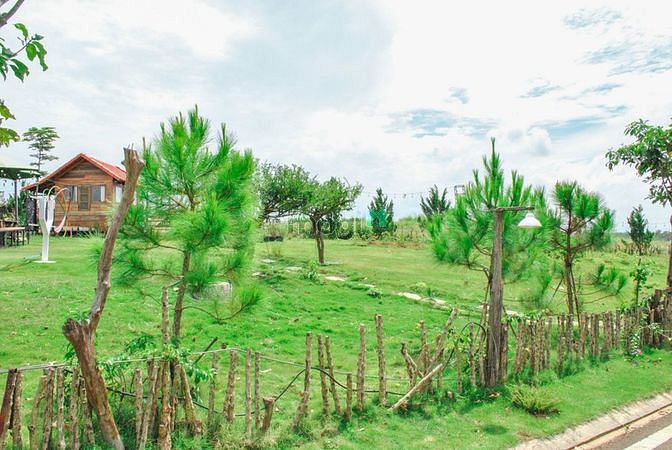 Hình ảnh Đất nền Đồi Hoa Gió Bảo Lộc giá cực tốt chỉ 2TR3/m2