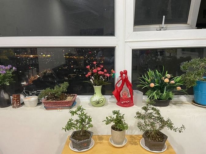 Hình ảnh Cho thuê căn 2pn ở chung cư Topaz Garden quận Tân Phú, giá 9tr5/tháng