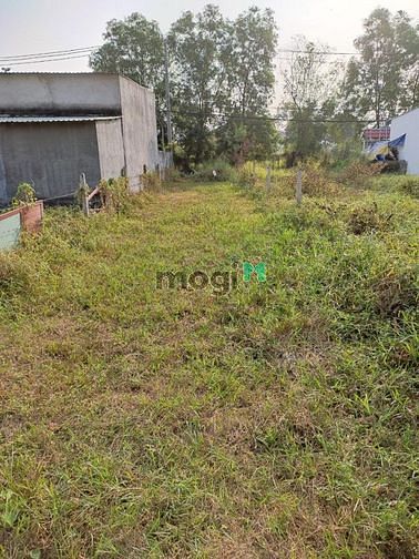 Hình ảnh Bán gấp lô đất thổ cư 182m2 MT đường Giồng Cát, Củ Chi, Giá 850tr.