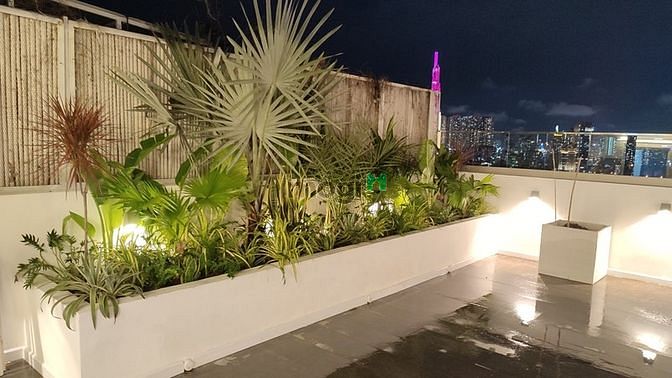 Hình ảnh For lease Penthouse sân vườn River Garden Thảo Điền - 362m2 View Sông