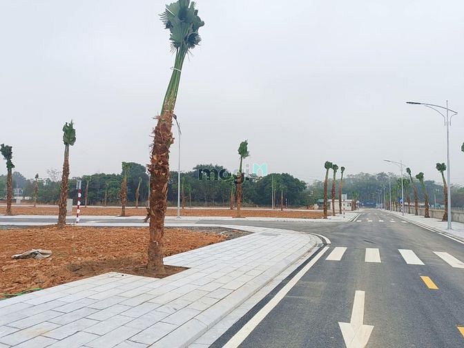 Hình ảnh Bán đất nền việt trì spring city giá chỉ 19tr/m2