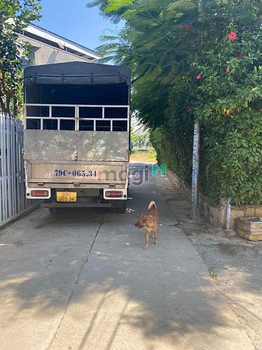Hình ảnh VT33 Bán nhanh lô đất hẻm 5m gần kho Trứng Vĩnh Thạnh