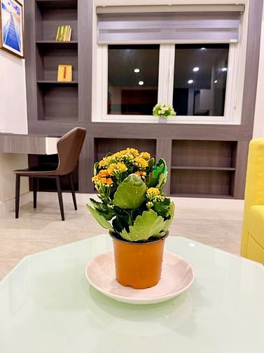 Hình ảnh Thạch Thị Thanh, Tân Định, Quận 1