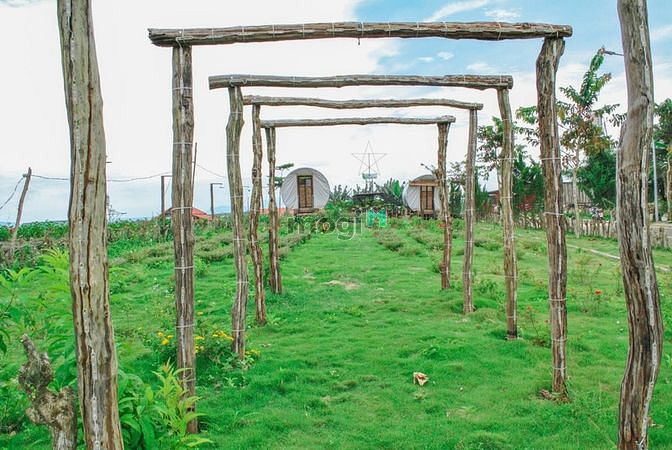 Hình ảnh Chính chủ bán đất Đồi Hoa Gió giá 2tr5/m2