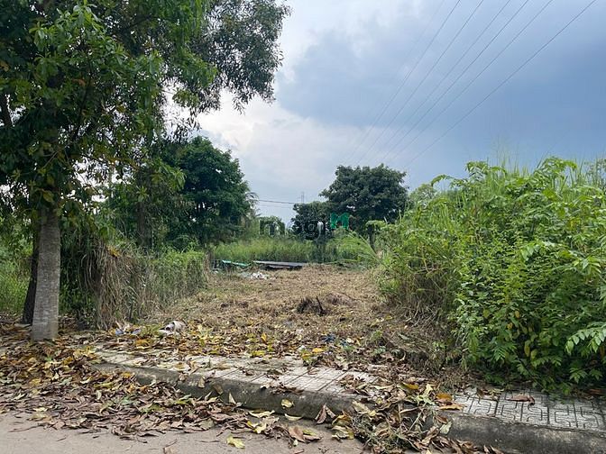 Hình ảnh Đất 2MT Tây Tứ Trạch (ĐB-TN) đối diện Vinhomes GrandPark, Nguyễn Xiển
