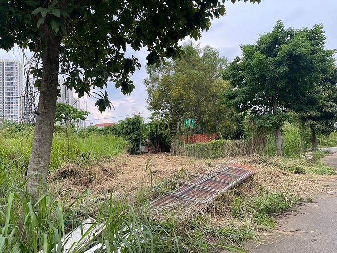 Hình ảnh Đất 2MT Tây Tứ Trạch (ĐB-TN) đối diện Vinhomes GrandPark, Nguyễn Xiển