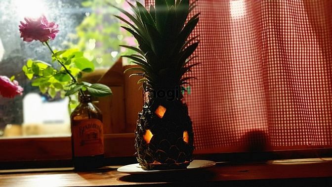 Hình ảnh 🈲Căn Hộ 1PN Japan_Phong Cách Nhật Bản Cực Chill