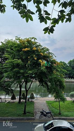 Hình ảnh 🔥Căn Hộ Trang Chủ MB66.COM Chính Thức View Cây Xanh Có Thang Máy Ở Đa Kao Hoàng Sa Q1🔥