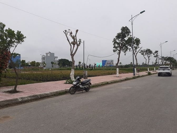 Hình ảnh Bảng hàng chuyển nhượng liền kề và biệt thự dự án Cienco5 Mê Linh