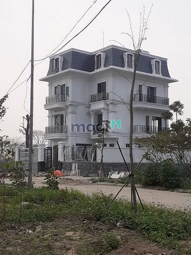 Hình ảnh Bảng hàng chuyển nhượng liền kề và biệt thự dự án Cienco5 Mê Linh