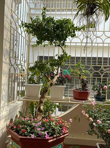 Hình ảnh Nhà Bình Tân 5×12 - Tân Kỳ Tân Quý- 3Tầng -chỉ 3,85tỷ [33x5x3 ]