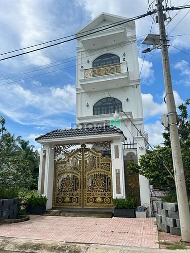 Hình ảnh CHỢ LONG HỒ - VĨNH LONG ngay đền thờ Phạm Hùng, Lộ Xe Tải KDC Phú Đức