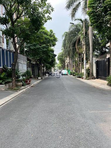 Hình ảnh Cho thuê Villa Hẻm 10M khu Vip K300, Tân Bình, 8x20, 480m2 SD.