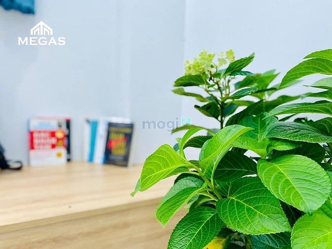 Hình ảnh CĂN HỘ STUDIO/1PN/2PN giá tốt - Khu dân cư LAKEVIEW CITY QUẬN 2