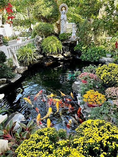 Hình ảnh Bán Biệt Thự Đơn Lập Senturia Vườn Lài Quận 12
