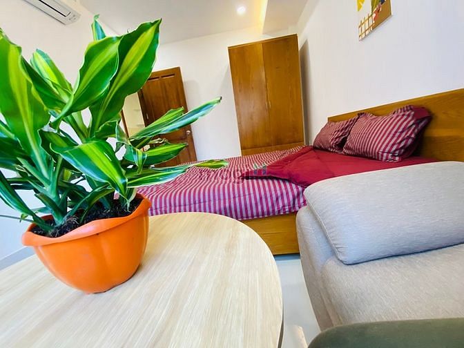 Hình ảnh CHDV 1 PN - Siêu đẹp - Gía ưu đãi cuối năm - đường D5