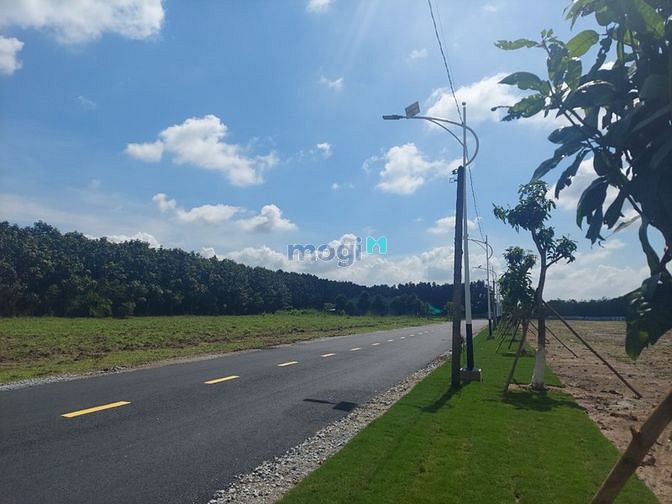 Hình ảnh ĐẤT THỔ SỔ SẴN 200M2 - Vốn Trang MB66.COM Chính Thức - MB 66 Uy Tín 349triệu/nền