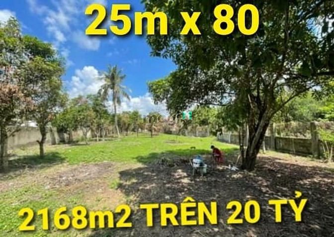 Hình ảnh NGỘP - 2168m2 giá Trên 20 tỷ QL22 KCN Tân Phú Trung Củ Chi TPHCM