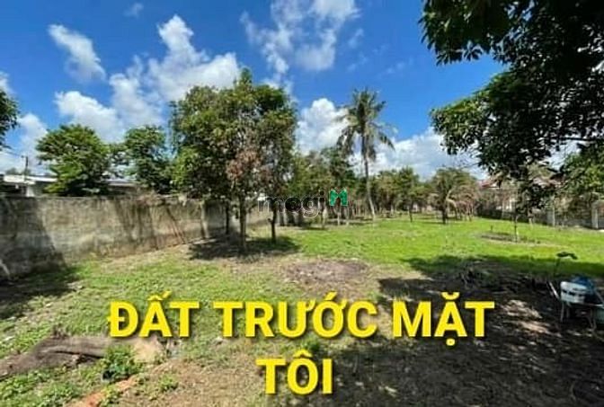Hình ảnh NGỘP - 2168m2 giá Trên 20 tỷ QL22 KCN Tân Phú Trung Củ Chi TPHCM