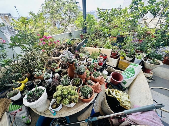 Hình ảnh Bán nhà 3 lầu Đình Phong Phú 130m2