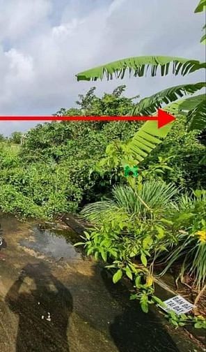 Hình ảnh Đất Biệt Thự 152m2 nhỉnh 4 tỷ Thạnh Xuân Quận 12 TPHCM