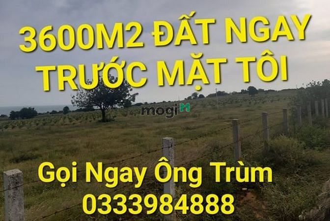 Hình ảnh 3600m2 có 9 tỷ x Ngyễn Thị Rành Trung Lập Hạ Củ Chi TPHCM