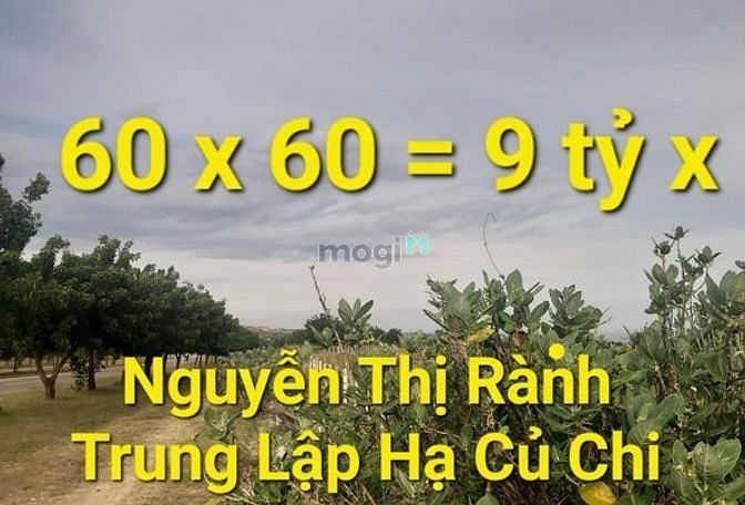 Hình ảnh 3600m2 có 9 tỷ x Ngyễn Thị Rành Trung Lập Hạ Củ Chi TPHCM