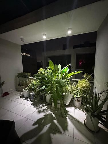 Hình ảnh Hàng Hot Tân Bình đg Hoàng Bật Đạt 1.270 tỷ 52m2 pháp lý chuẩn shr