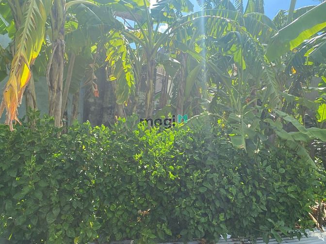 Hình ảnh Đất 2 mặt tiền tại thị trấn Hiệp Phước, Nhơn Trạch