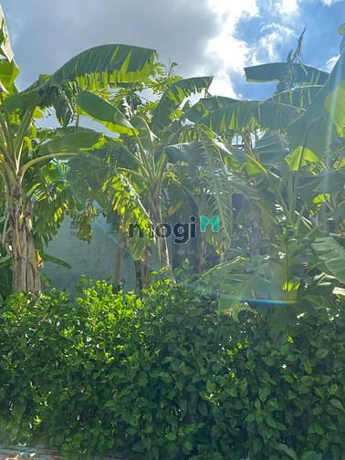 Hình ảnh Đất 2 mặt tiền tại thị trấn Hiệp Phước, Nhơn Trạch