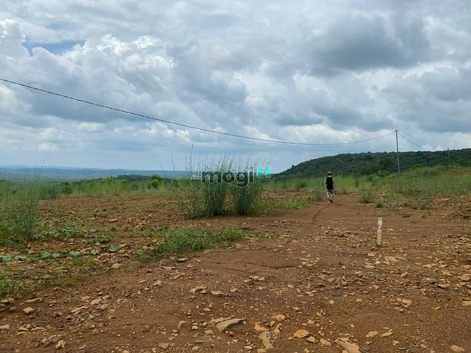 Hình ảnh Thanh lý gấp miếng đất 99 triệu sổ riêng