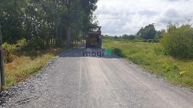 Hình ảnh Bán gấp lô đất 125m2 full thổ, Cây Da, Gò Dầu, SHR, Giá 350tr.