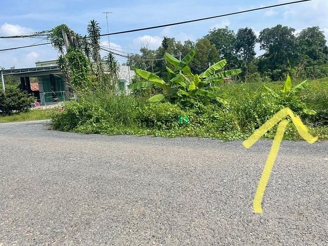 Hình ảnh Đất thổ 179m2 550Tr SHR xã Tân Thông Hội, Củ Chi.