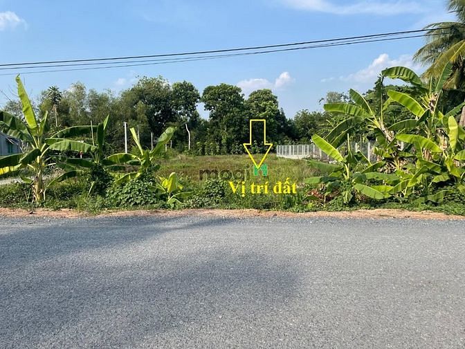 Hình ảnh Đất thổ 179m2 550Tr SHR xã Tân Thông Hội, Củ Chi.