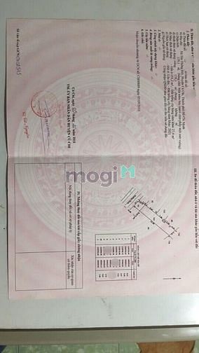 Hình ảnh Đất thổ 179m2 550Tr SHR xã Tân Thông Hội, Củ Chi.