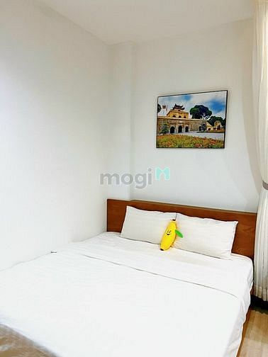 Hình ảnh Cho thuê CHDV Full nội thất cao cấp ngay khu Sân Bay - Tân Bình