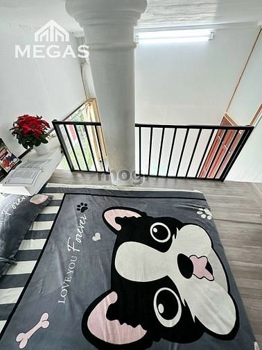 Hình ảnh CHDV Cao Cấp Có Gác Cửa Sổ Trời Ngay Công Viên Hoàng Văn Thụ