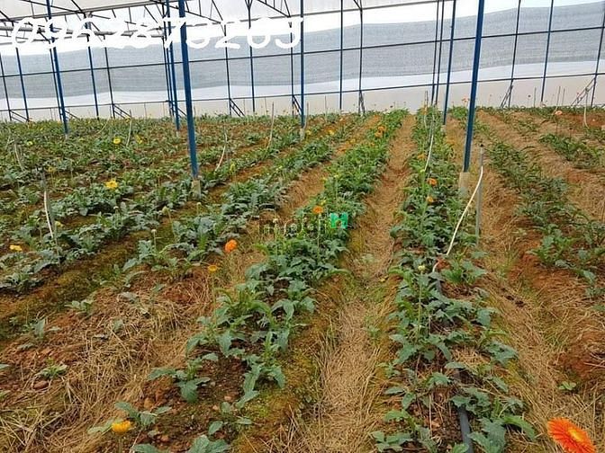 Hình ảnh Bán mảnh đất đẹp giá hợp lý phố đức giang-p thượng thanh- q long