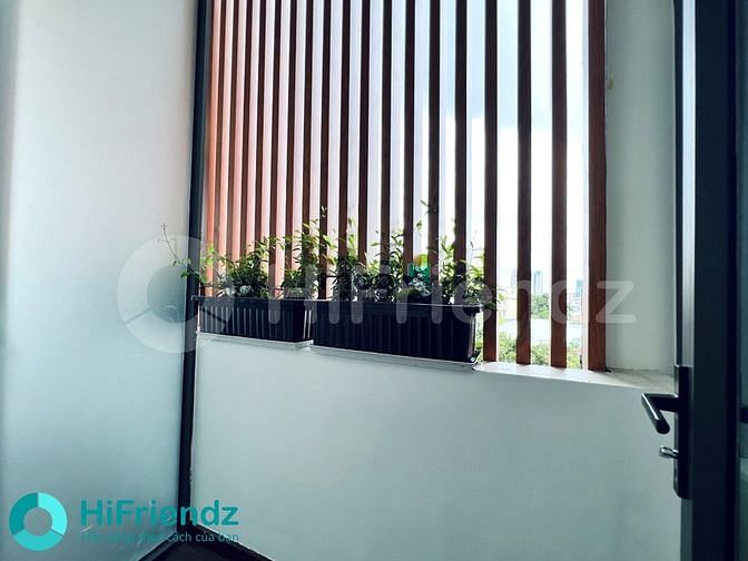 Hình ảnh Mới 100% Căn Hộ 1PN_STUDIO_35-40m2 _ Võ Thị Sáu + TRUNG Tâm Quận 1_3