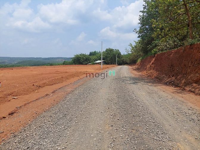 Hình ảnh Đất sào Nam Đô, Tân Phước, Đồng Phú