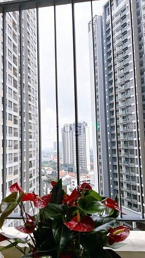 Hình ảnh Cho thuê Masteri An Phú 2PN căn góc có suất ô tô chỉ 20 triệu/tháng