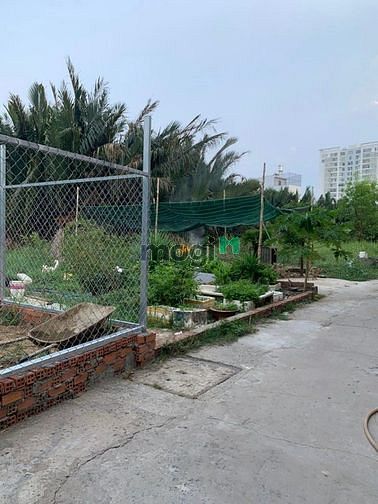 Hình ảnh Đất thổ cư HXH gần Phú Mỹ Hưng, Huỳnh Tấn Phát. 6m x 16m. XD tự do.