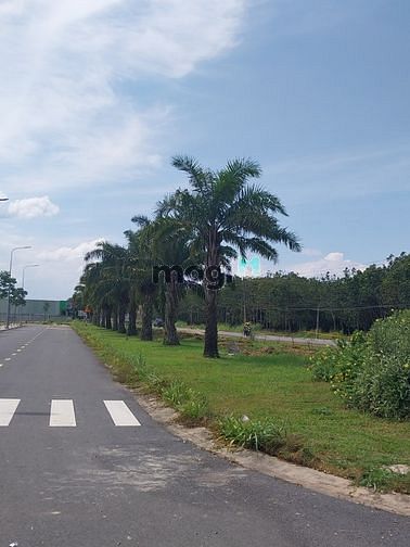 Hình ảnh Bán đất đường 970, P. Phú Hữu, Quận 9, DT 97m2, giá 2tỷ650, sổ riêng.
