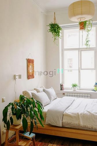 Hình ảnh Cho thuê Trang Chủ MB66.COM / Đăng Ký Tặng 66K cao cấp ESTELLA chuẩn 5 sao 3 pn 51 triệu ,
