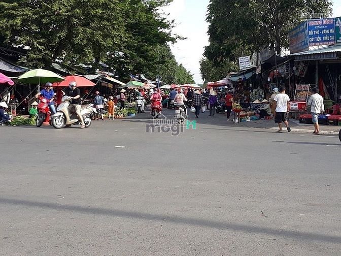 Hình ảnh Bán 4 Lô (20x50)=1100m2 Shr Thổ Cư, Đất Thị Xã, Sát Chợ, Giá 290tr