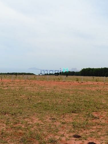 Hình ảnh Trả nợ cần bán gấp lô đất 3780m2 xã Hòa Thắng, quy hoạch đất ở đô thị