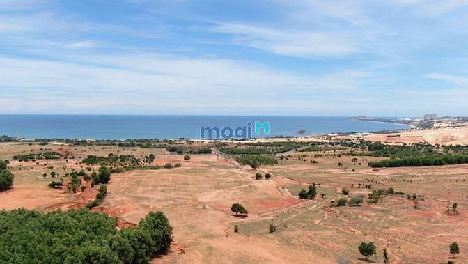Hình ảnh Trả nợ cần bán gấp lô đất 3780m2 xã Hòa Thắng, quy hoạch đất ở đô thị