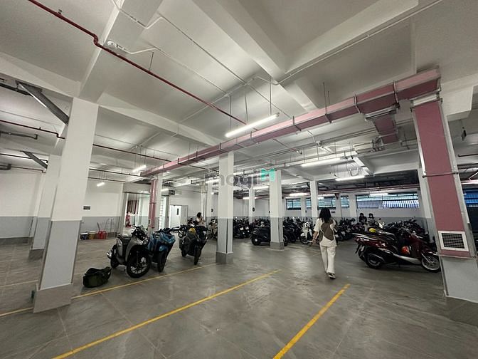 Hình ảnh Khai Trương Dự Án Căn Hộ Cao Cấp - Full Nội Thất Ngay Lạc Long Quân
