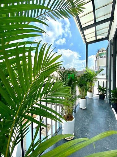 Hình ảnh Cho thuê Trang Chủ MB66.COM / Đăng Ký Tặng 66K 1PN ban công cao cấp ngay VÕ THỊ SÁU , QUẬN 1