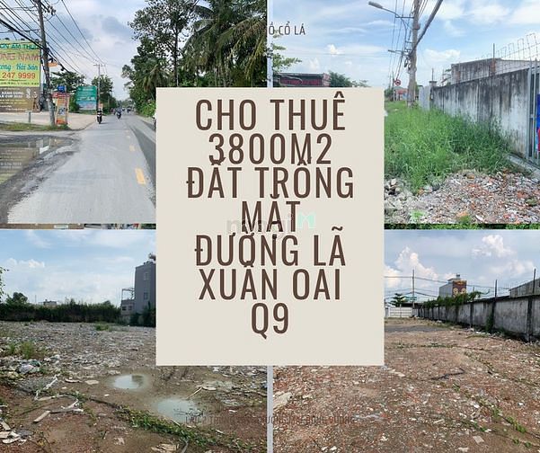 Hình ảnh Cho thuê 3800m2 đất mặt tiền Lã Xuân Oai
